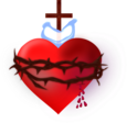 cleanbloodworld.com